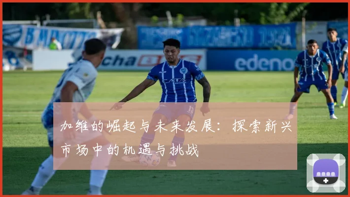加维的崛起与未来发展：探索新兴市场中的机遇与挑战